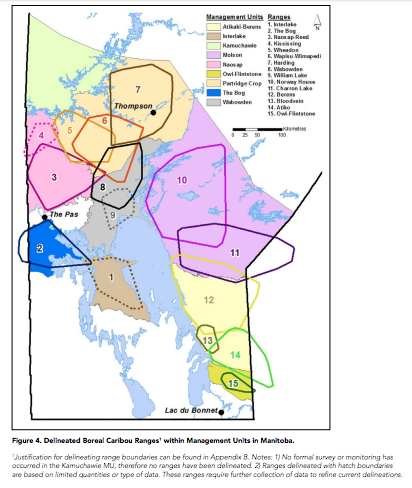 Delineated Boreal Caribou Ranges within Management Units in Manitoba